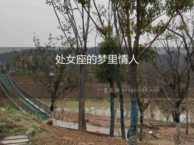 處女座的夢(mèng)里情人