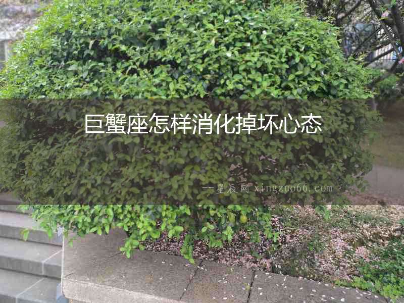 巨蟹座怎樣消化掉壞心態