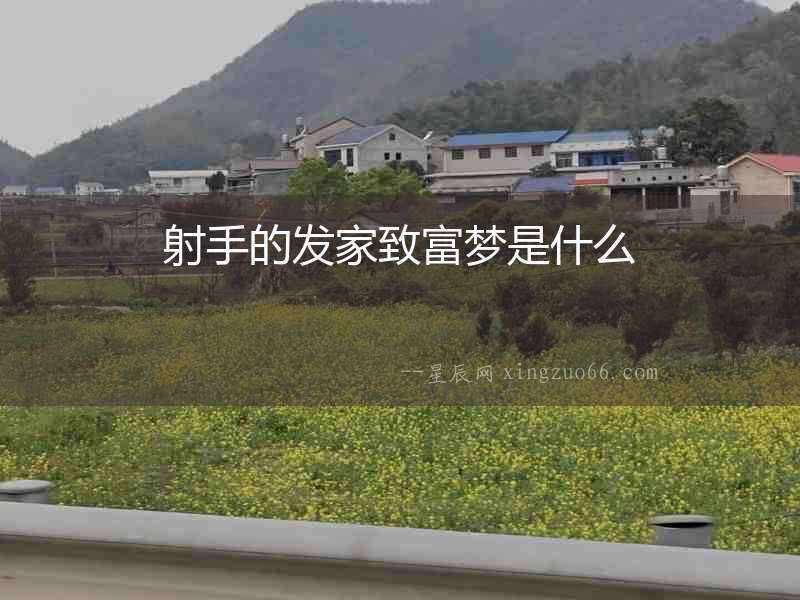 射手的發(fā)家致富夢(mèng)是什么