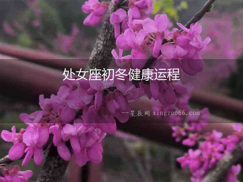 處女座初冬健康運程