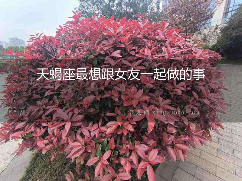 天蝎座最想跟女友一起做的事