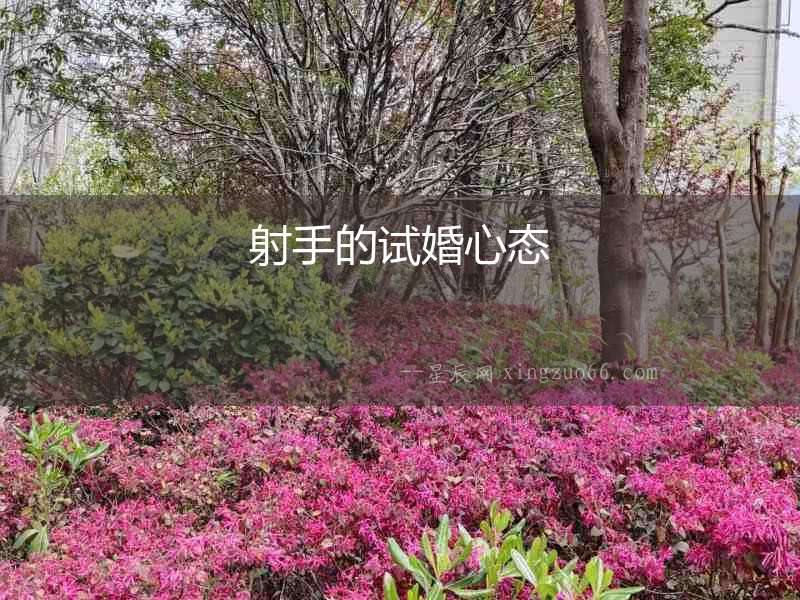 射手的試婚心態(tài)