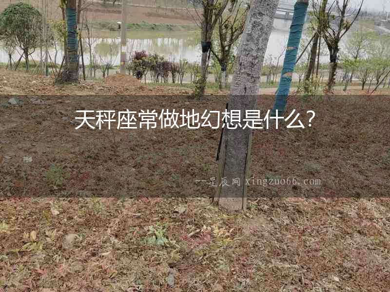天秤座常做地幻想是什么？