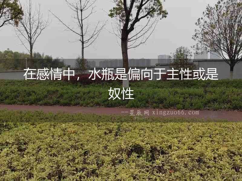 在感情中，水瓶是偏向于主性或是奴性