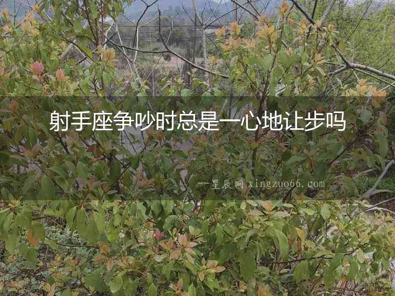 射手座爭(zhēng)吵時(shí)總是一心地讓步嗎