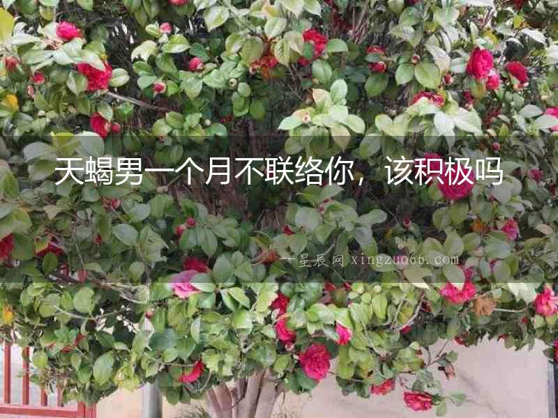 天蝎男一個月不聯(lián)絡(luò)你，該積極嗎