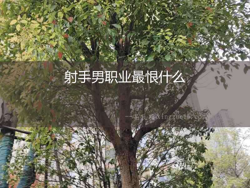 射手男職業最恨什么