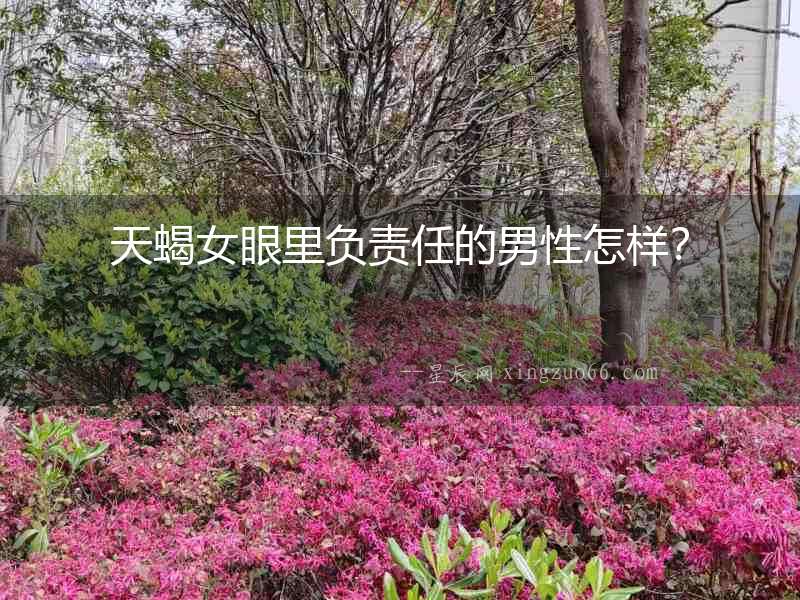 天蝎女眼里負(fù)責(zé)任的男性怎樣？