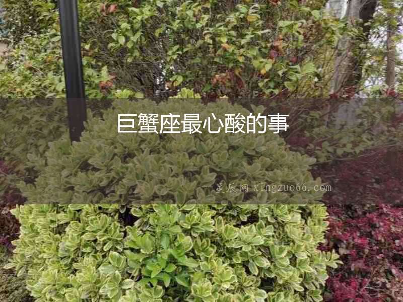 巨蟹座最心酸的事