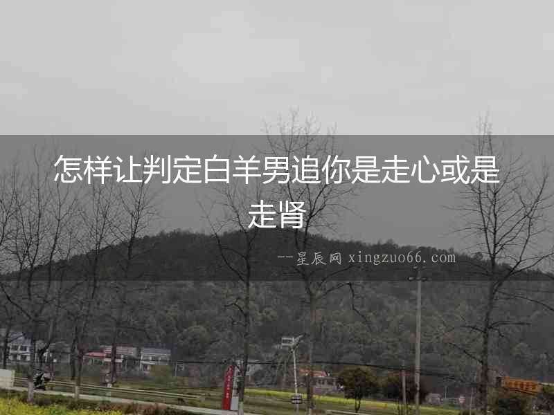 怎樣讓判定白羊男追你是走心或是走腎