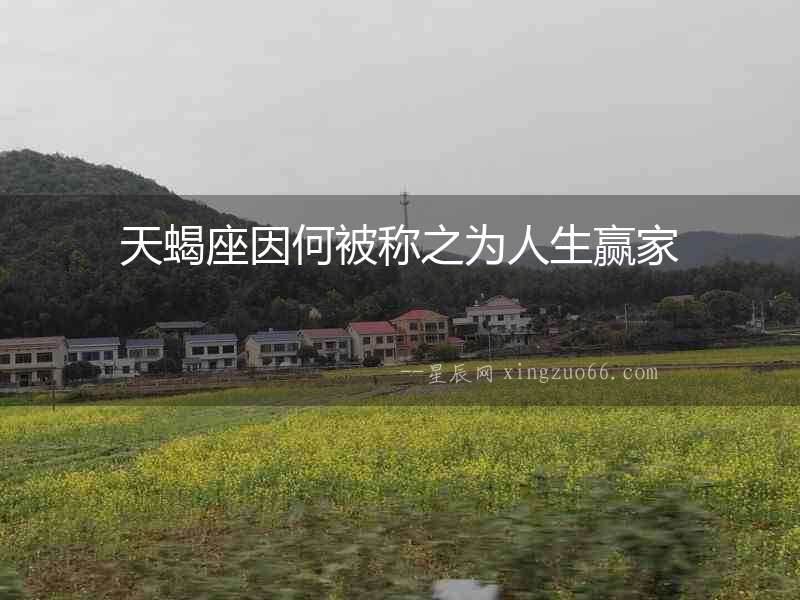 天蝎座因何被稱之為人生贏家