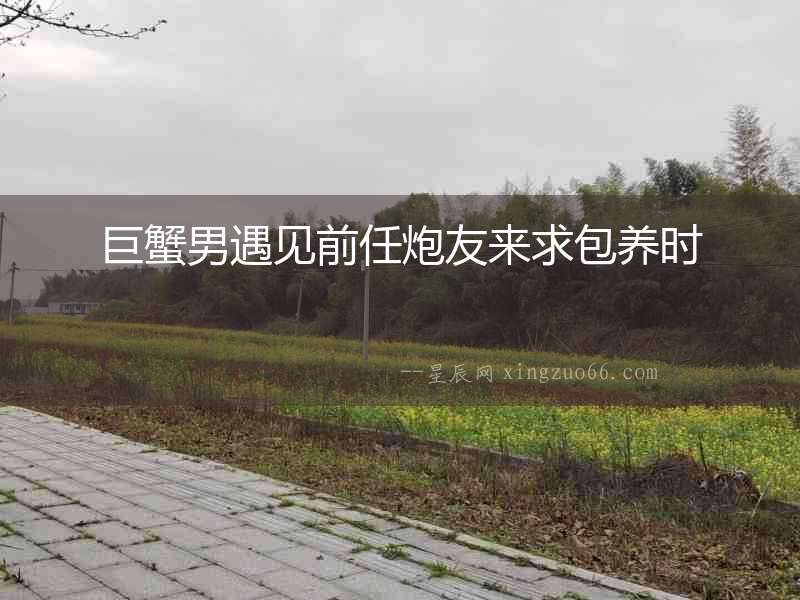 巨蟹男遇見前任炮友來求包養時
