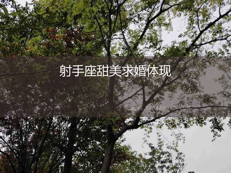 射手座甜美求婚體現