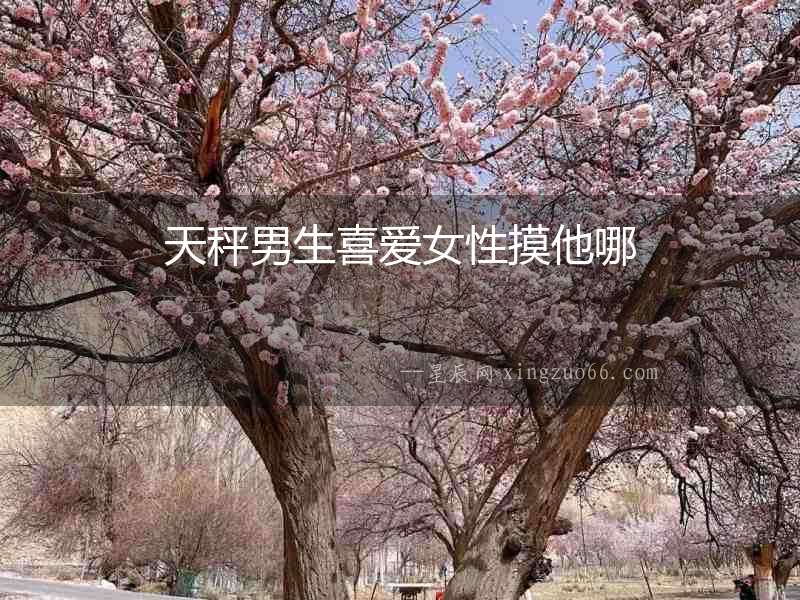 天秤男生喜愛女性摸他哪