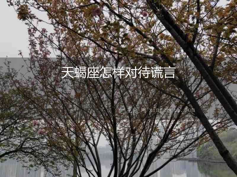 天蝎座怎樣對待謊言