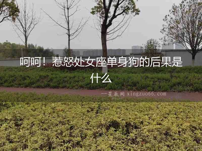 呵呵！惹怒處女座單身狗的后果是什么