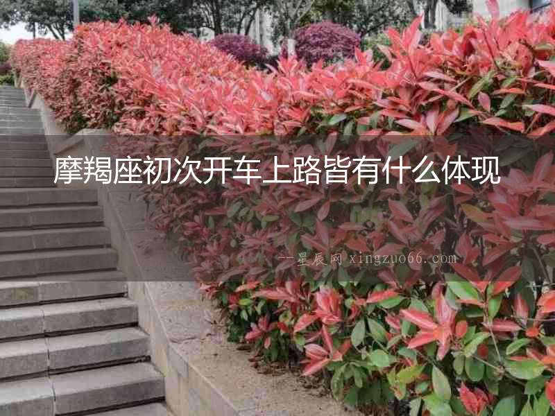 摩羯座初次開車上路皆有什么體現