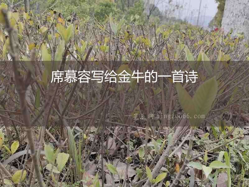 席慕容寫給金牛的一首詩