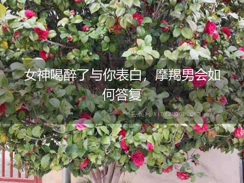 女神喝醉了與你表白，摩羯男會如何答復