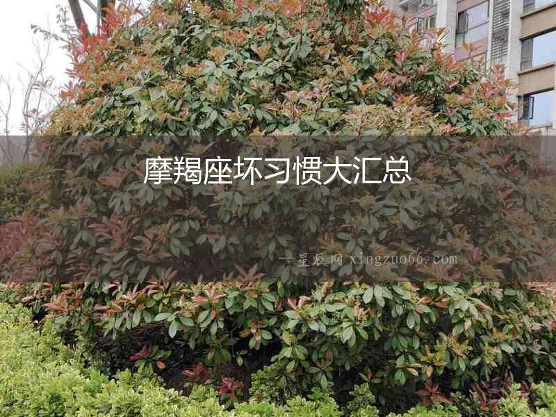 摩羯座壞習(xí)慣大匯總