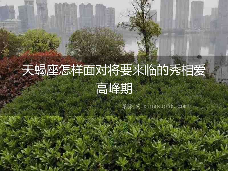 天蝎座怎樣面對將要來臨的秀相愛高峰期