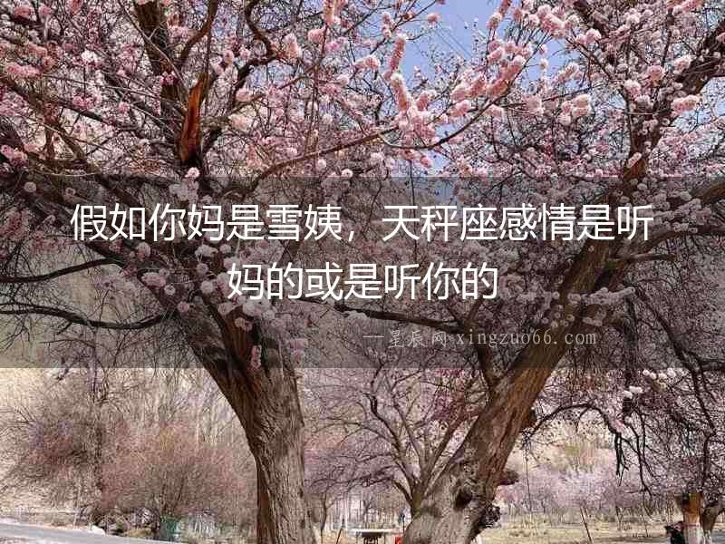 假如你媽是雪姨，天秤座感情是聽媽的或是聽你的