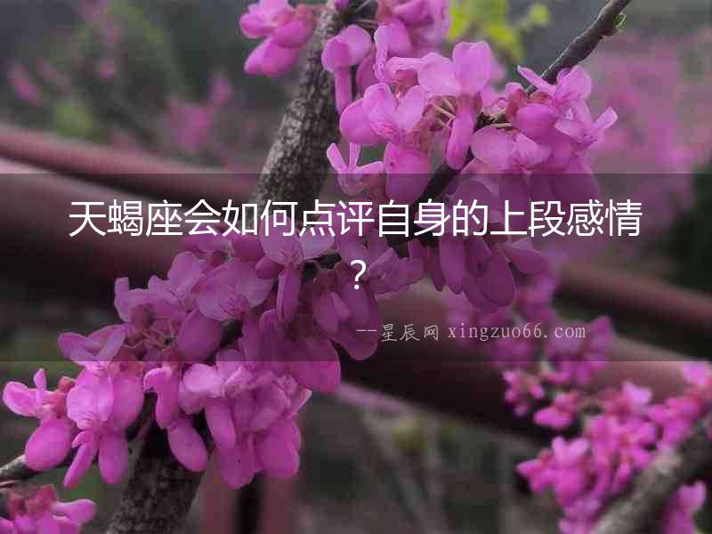 天蝎座會如何點評自身的上段感情？