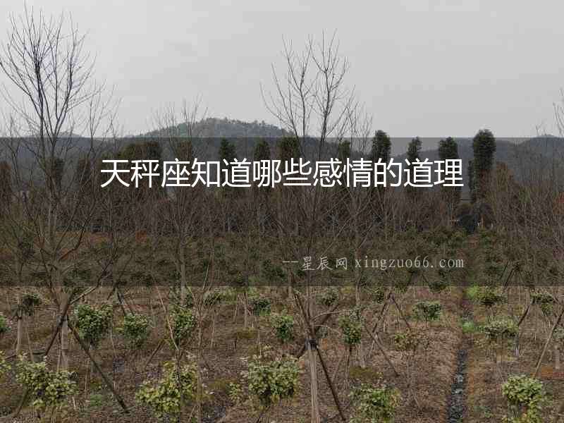 天秤座知道哪些感情的道理