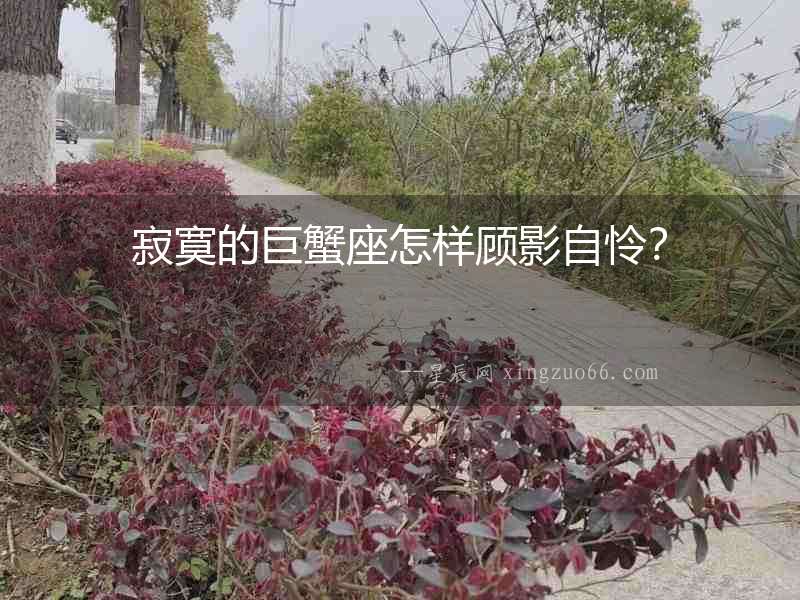 寂寞的巨蟹座怎樣顧影自憐？