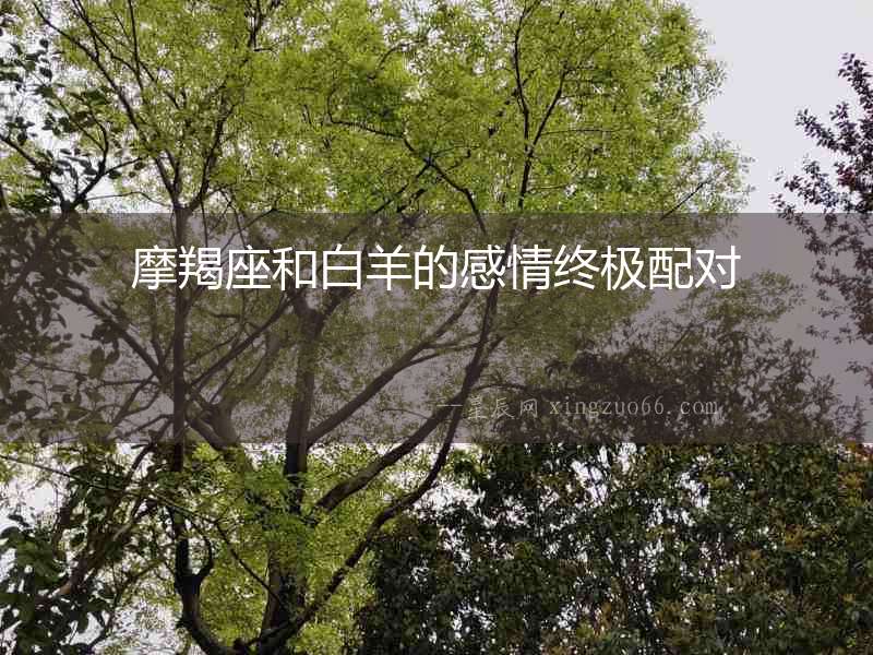 摩羯座和白羊的感情終極配對