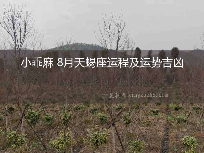 小乖麻 8月天蝎座運程及運勢吉兇