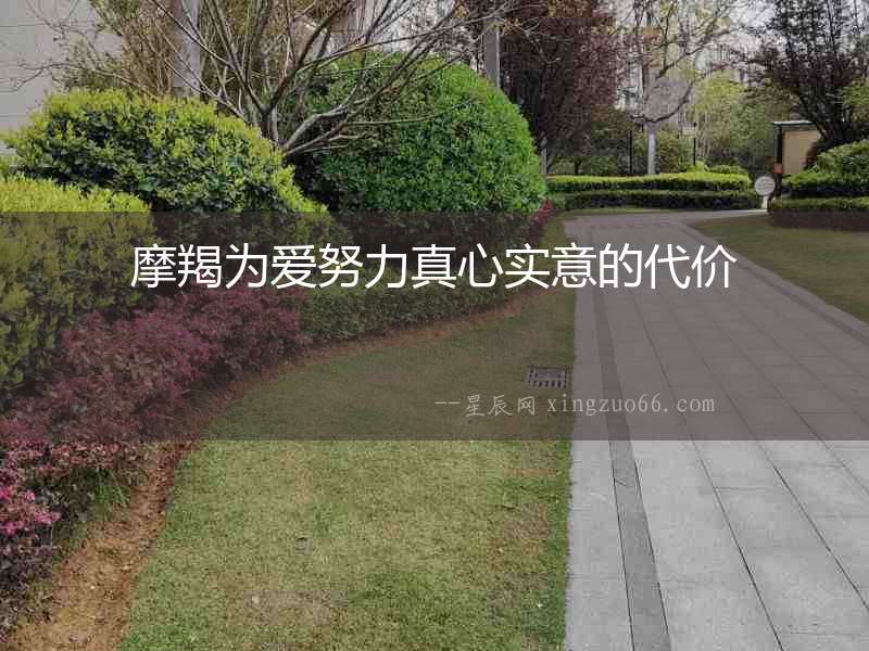 摩羯為愛努力真心實意的代價