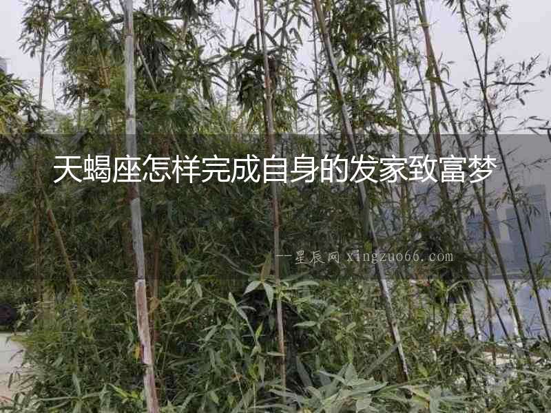 天蝎座怎樣完成自身的發(fā)家致富夢