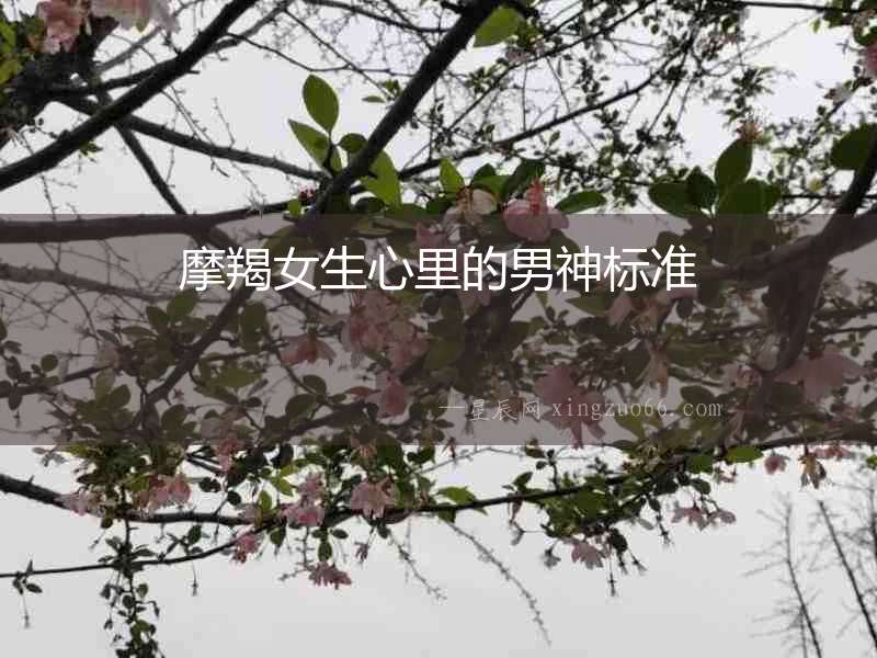 摩羯女生心里的男神標準