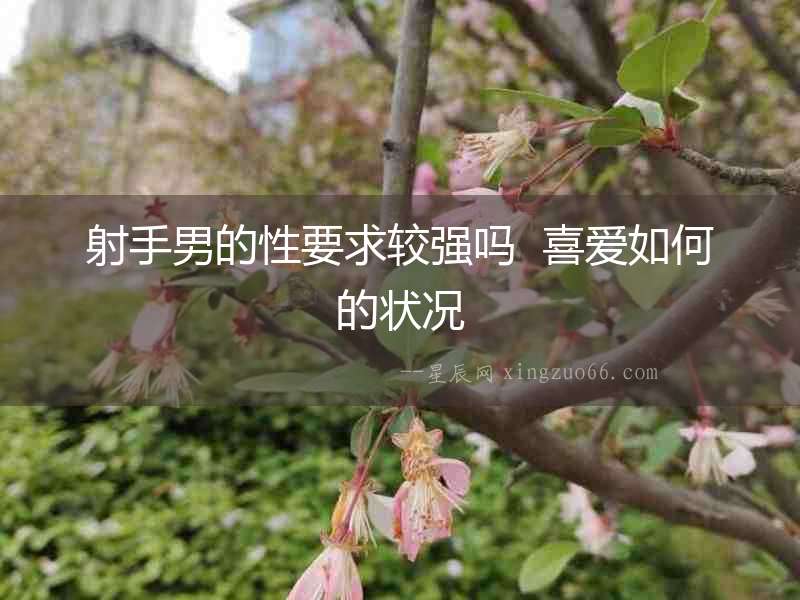 射手男的性要求較強嗎  喜愛如何的狀況