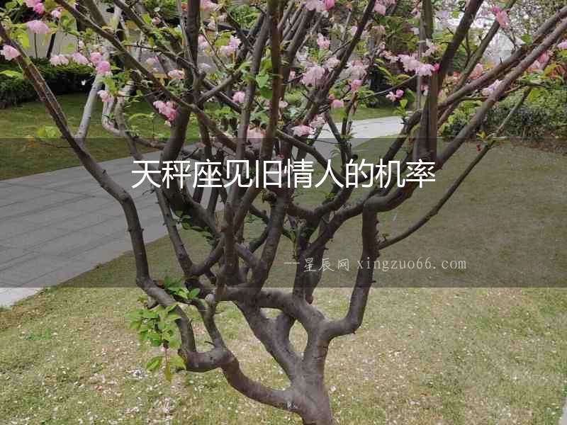 天秤座見舊情人的機(jī)率