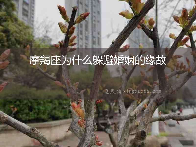 摩羯座為什么躲避婚姻的緣故