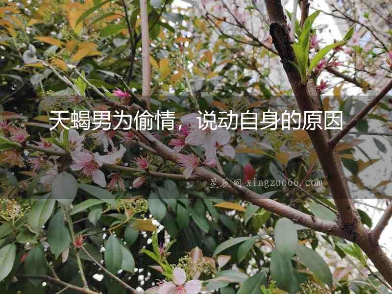 天蝎男為偷情，說動自身的原因