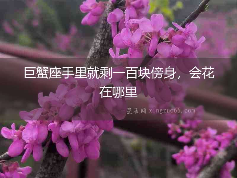 巨蟹座手里就剩一百塊傍身，會花在哪里
