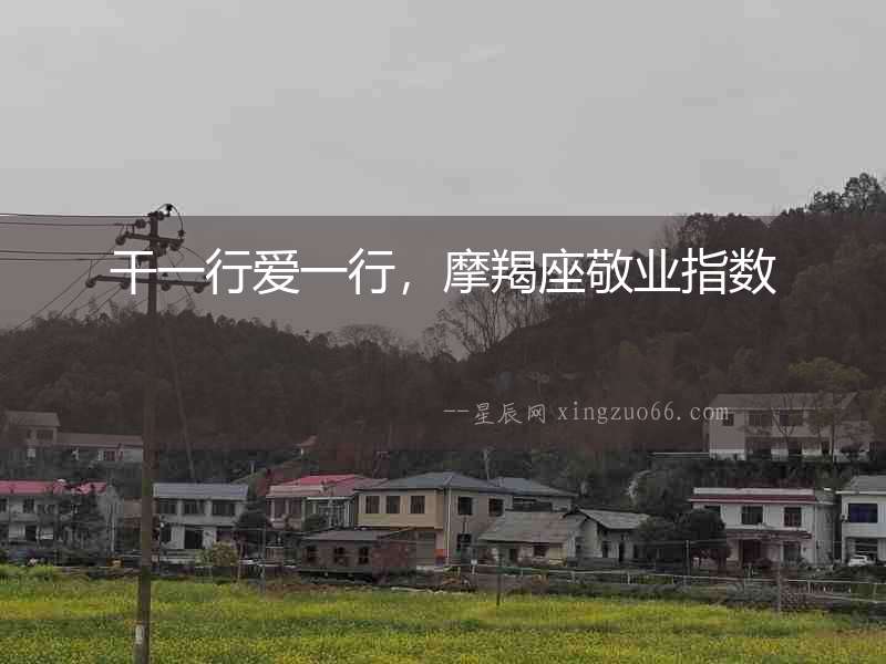 干一行愛一行，摩羯座敬業指數