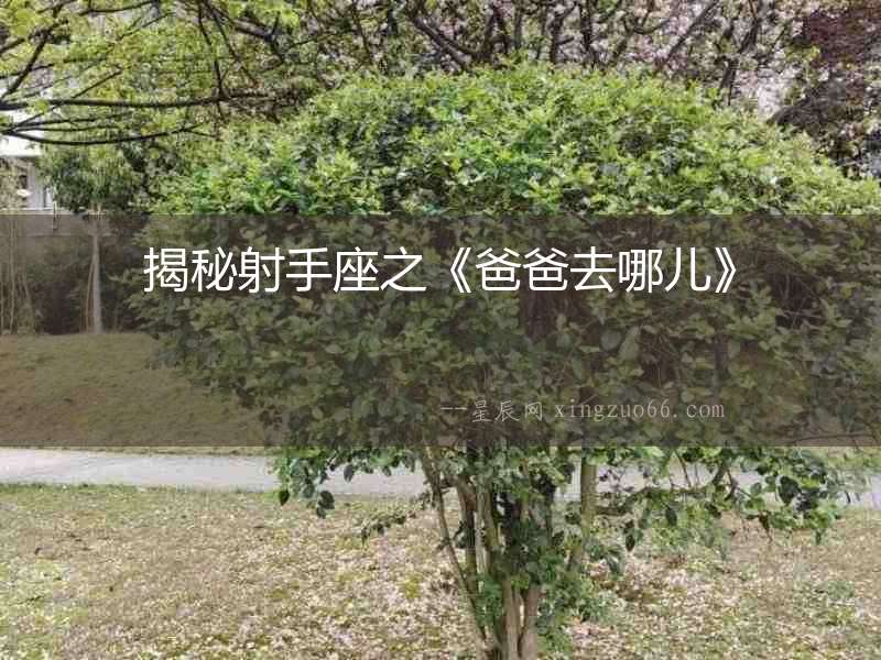 揭秘射手座之《爸爸去哪兒》