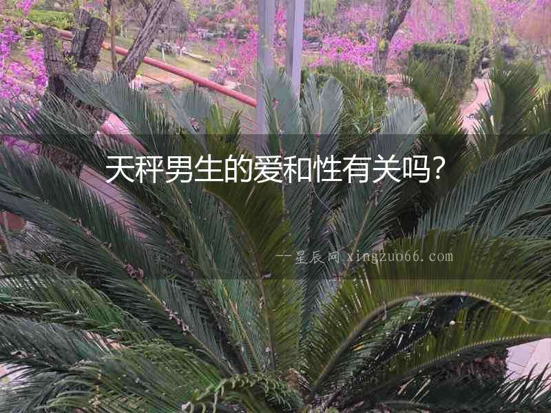 天秤男生的愛和性有關(guān)嗎？