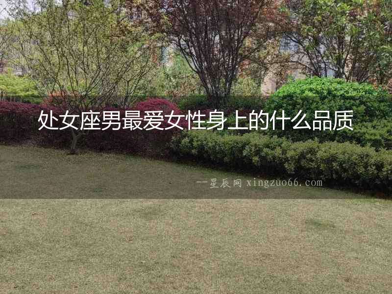處女座男最愛女性身上的什么品質(zhì)