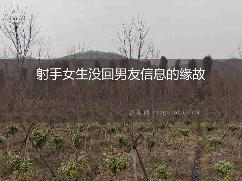 射手女生沒回男友信息的緣故