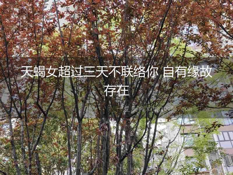 天蝎女超過(guò)三天不聯(lián)絡(luò)你 自有緣故存在