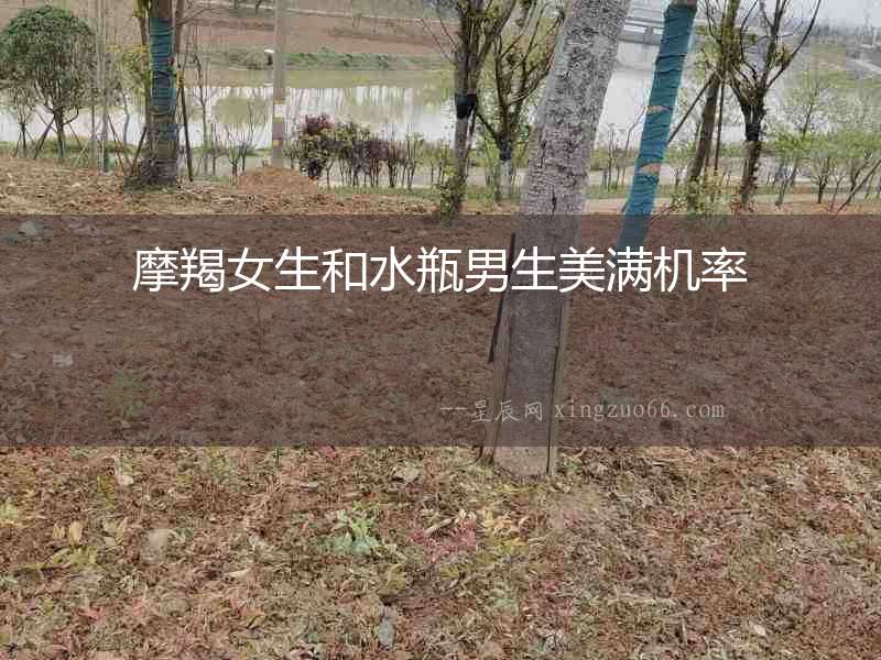 摩羯女生和水瓶男生美滿機率