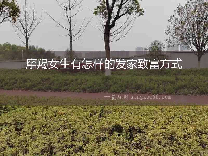 摩羯女生有怎樣的發家致富方式