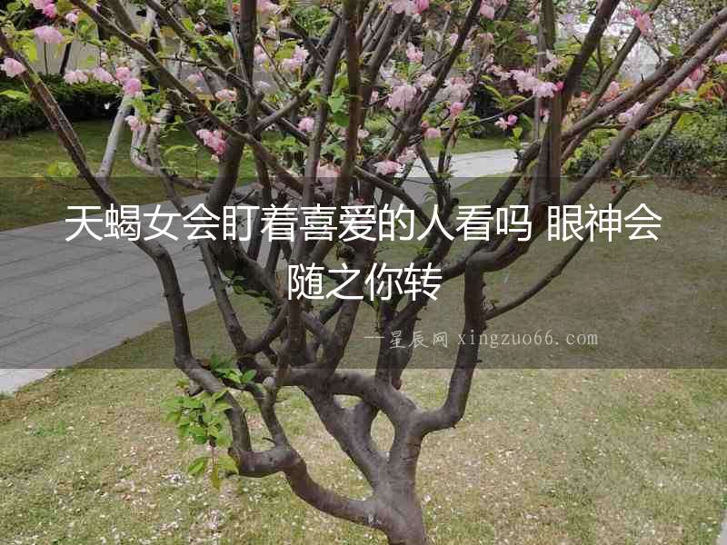 天蝎女會盯著喜愛的人看嗎 眼神會隨之你轉
