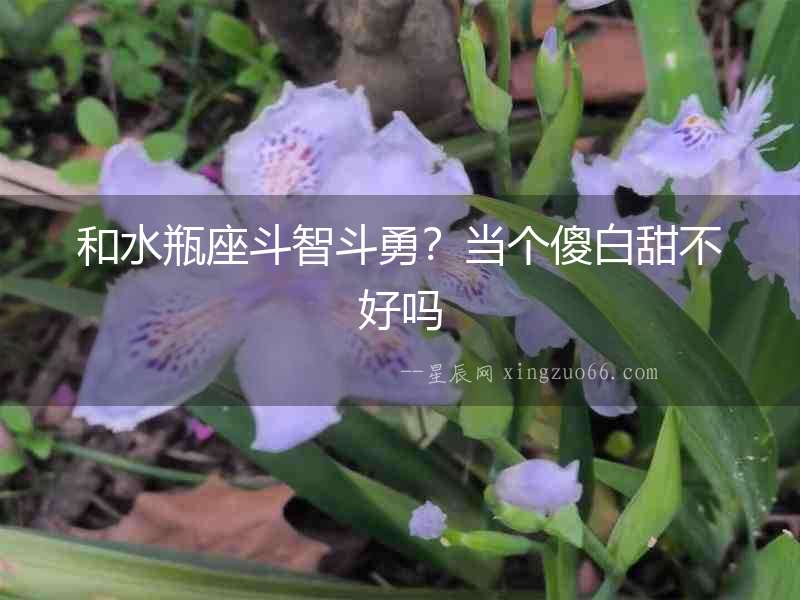 和水瓶座斗智斗勇？當(dāng)個(gè)傻白甜不好嗎