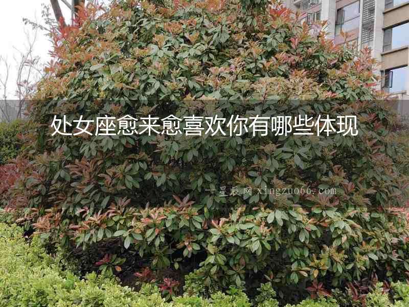 處女座愈來愈喜歡你有哪些體現(xiàn)
